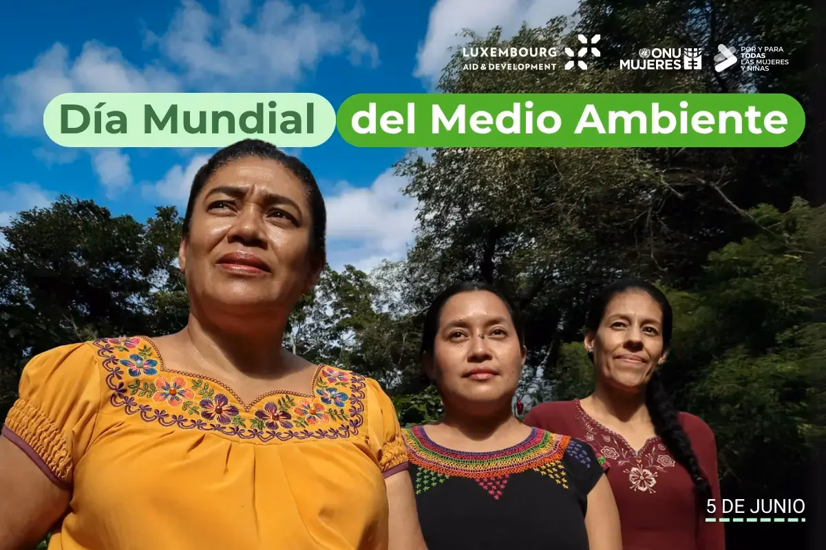 ¿Cuáles son los impactos ambientales en las mujeres?