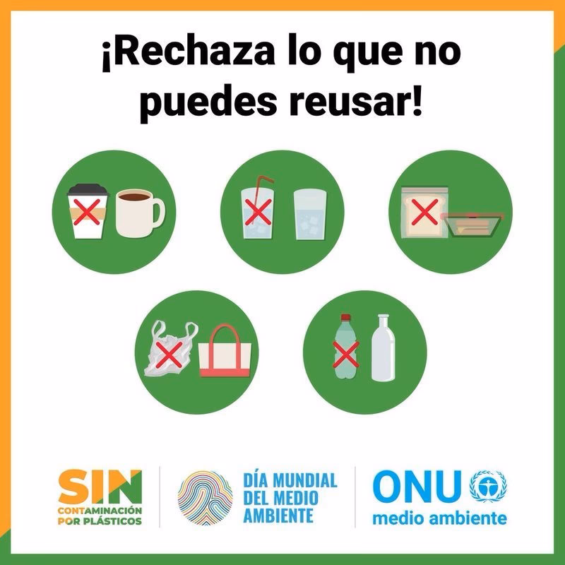 ¿Por qué se celebra el Día Mundial del Medio Ambiente?