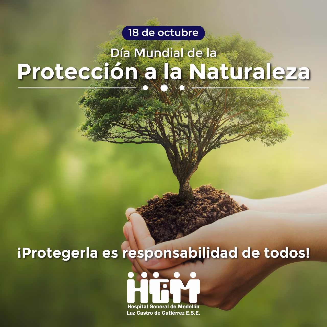 ¿Por qué se celebra el 18 de octubre el Día Mundial de protección de la naturaleza?