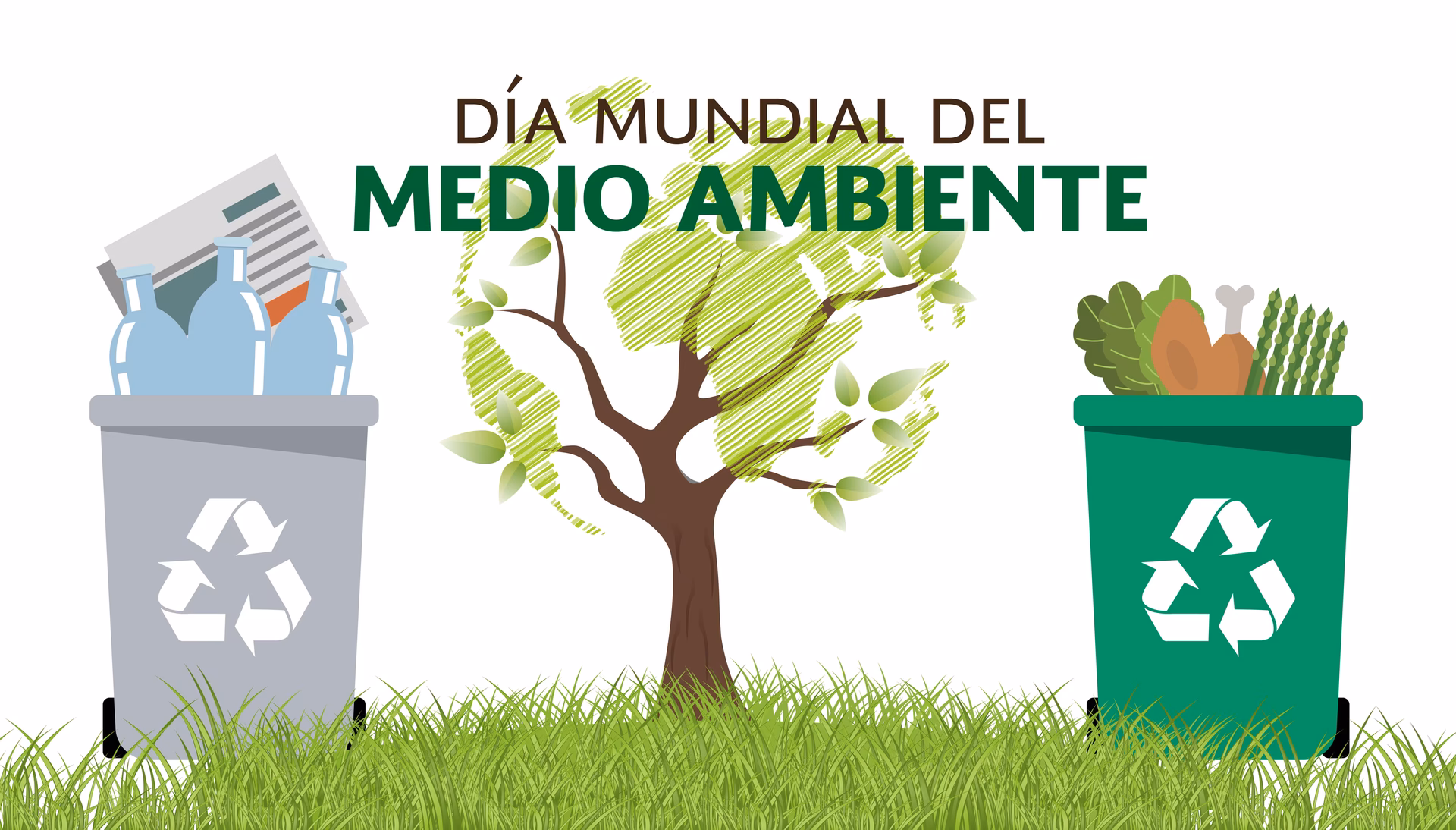 ¿Cuáles son los organismos encargados de la preservación y el cuidado del Medio Ambiente en Argentina?