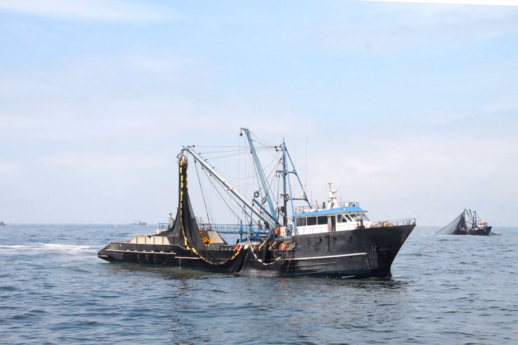 ¿Qué es la adaptación al cambio climático en el sector de la pesca y la acuicultura?