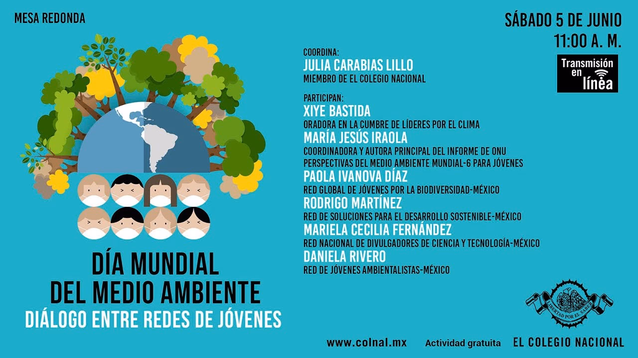 ¿Cuáles son los ejemplos de iniciativas de Desarrollo Comunitario?