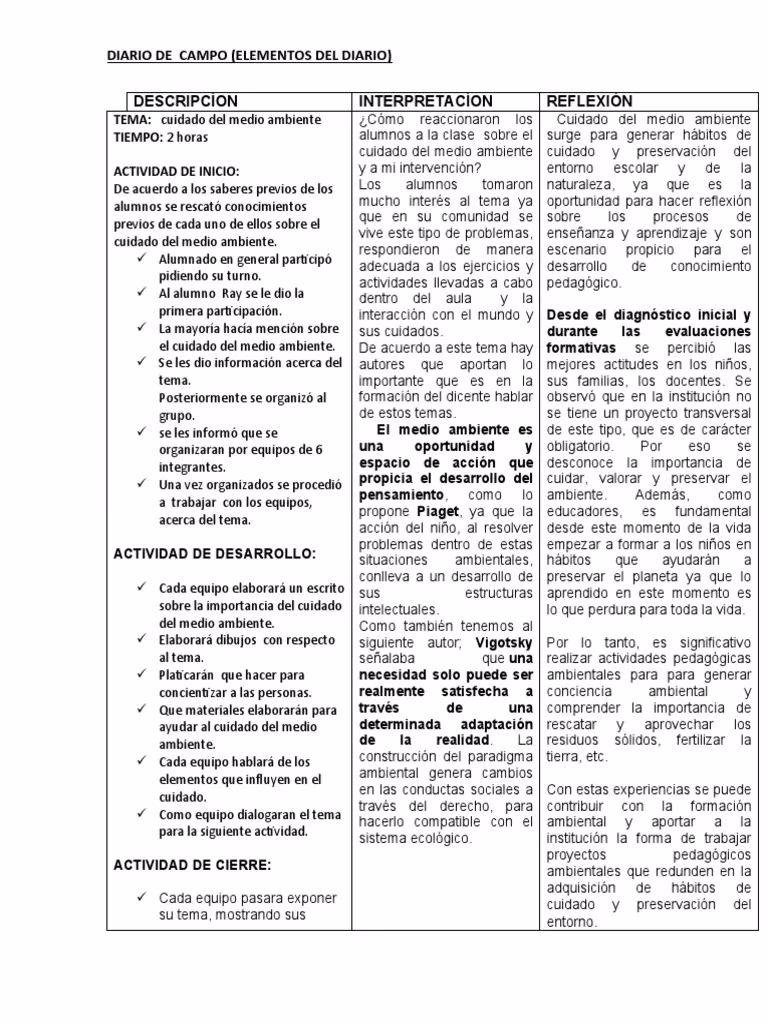 ¿Qué es un diario de campo?