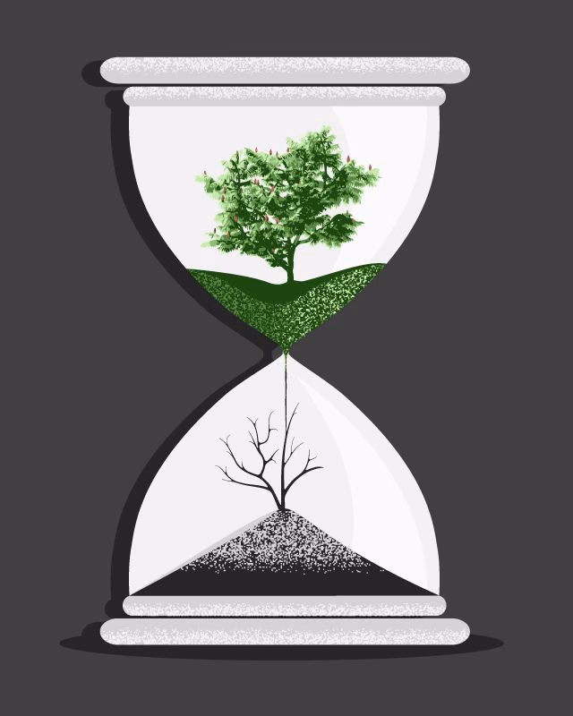 ¿Qué tipo de ideas representan los dibujos en Tumblr?