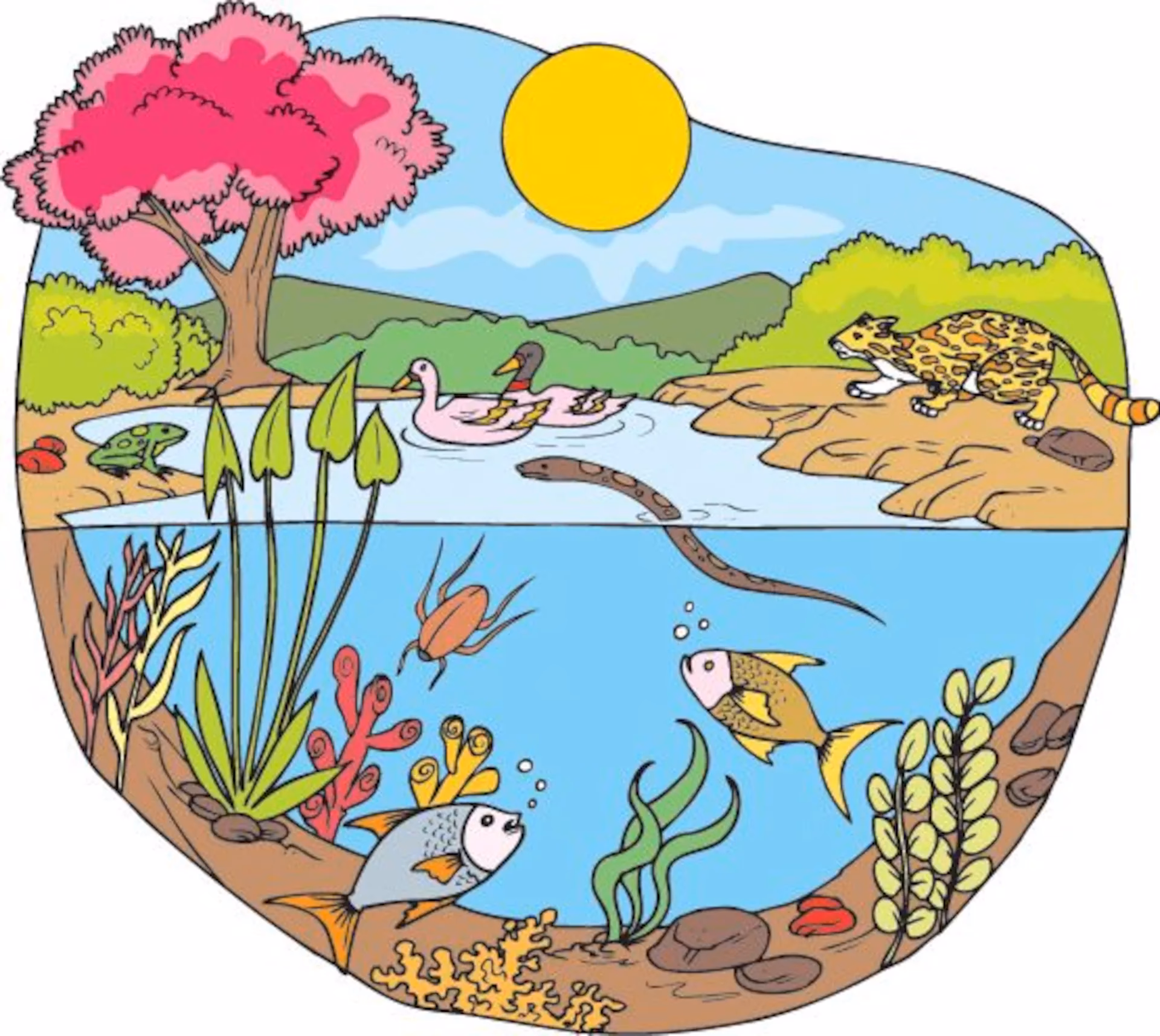 ¿Cómo puedo dibujar seres animados?