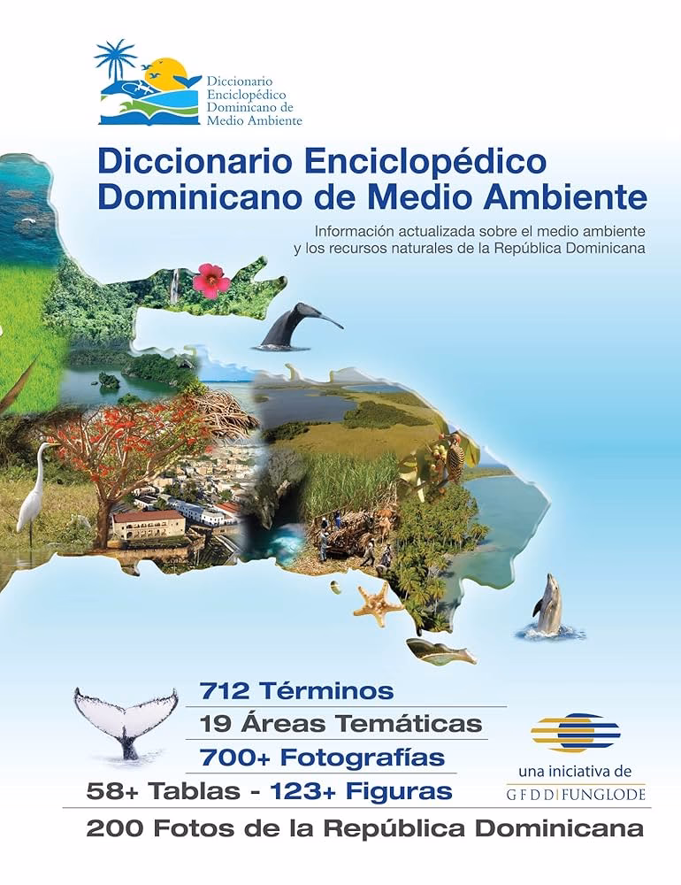 ¿Qué es la dimensión ambiental?