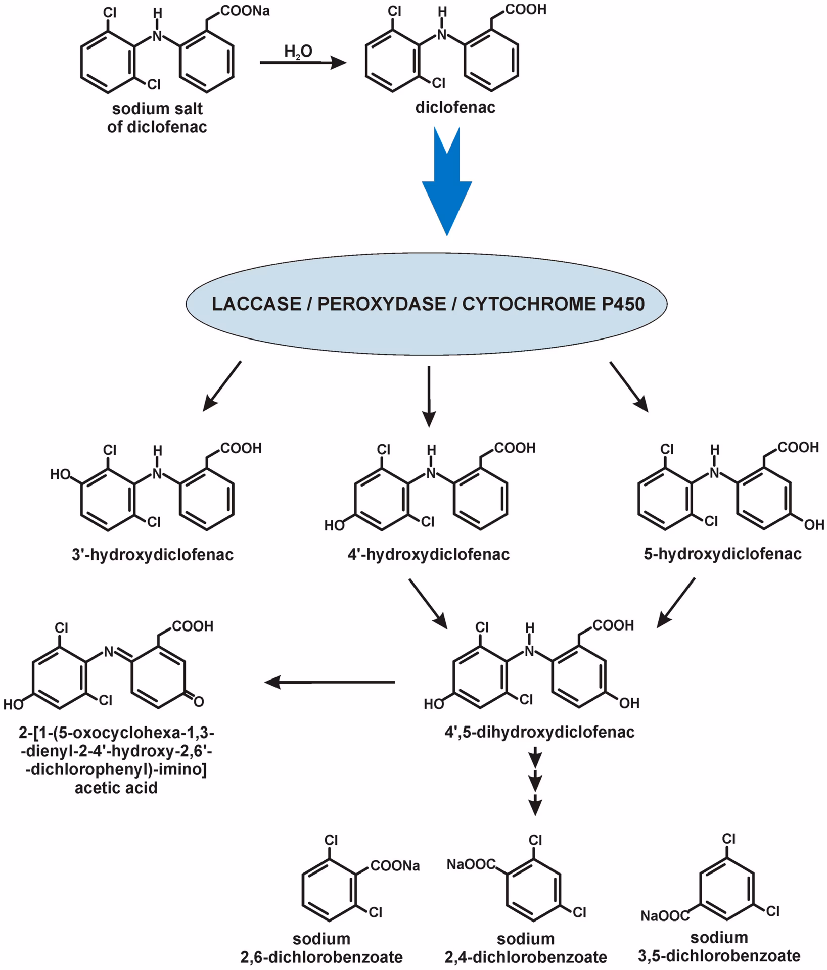 Is diclofenac a contaminant?