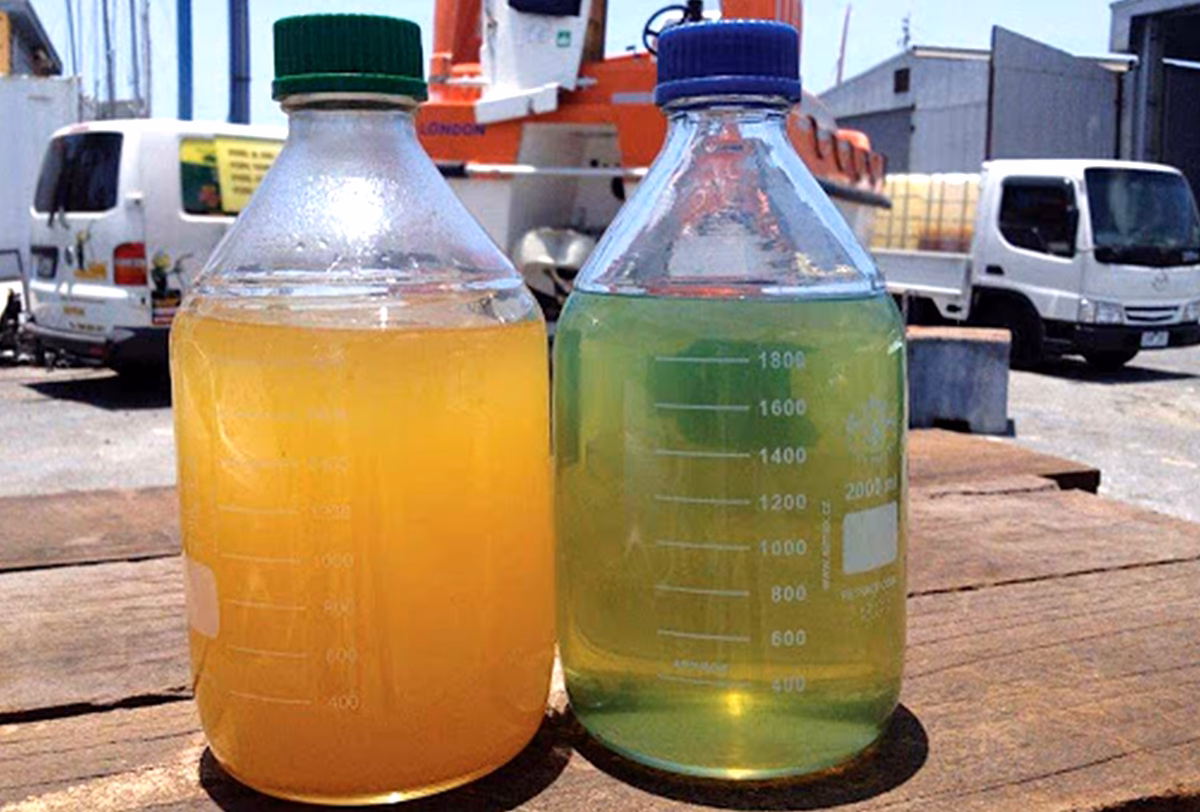 How do I know if my diesel fuel has microbial contamination?