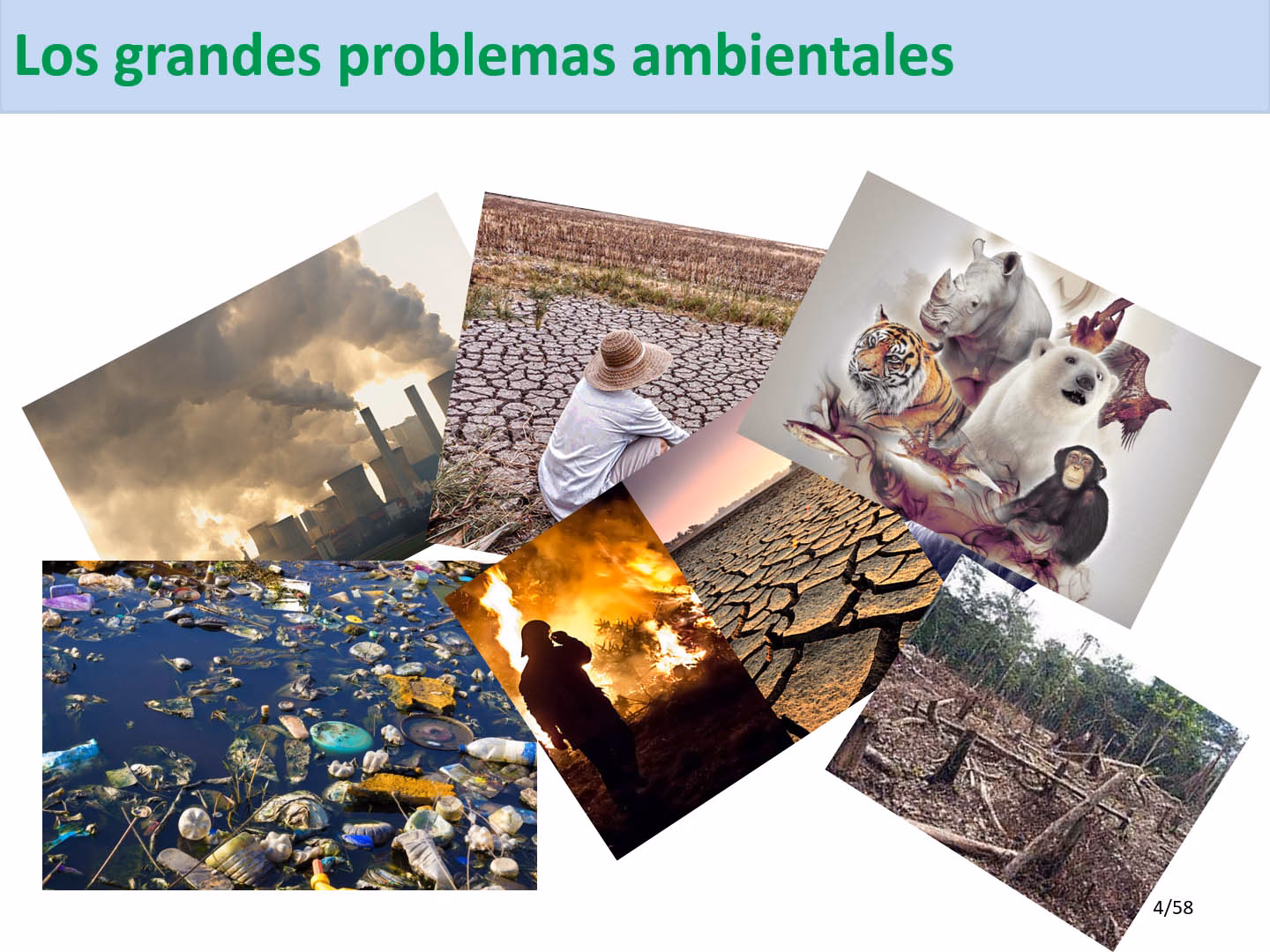 ¿Qué es la crisis ambiental contemporánea y el cambio climático?