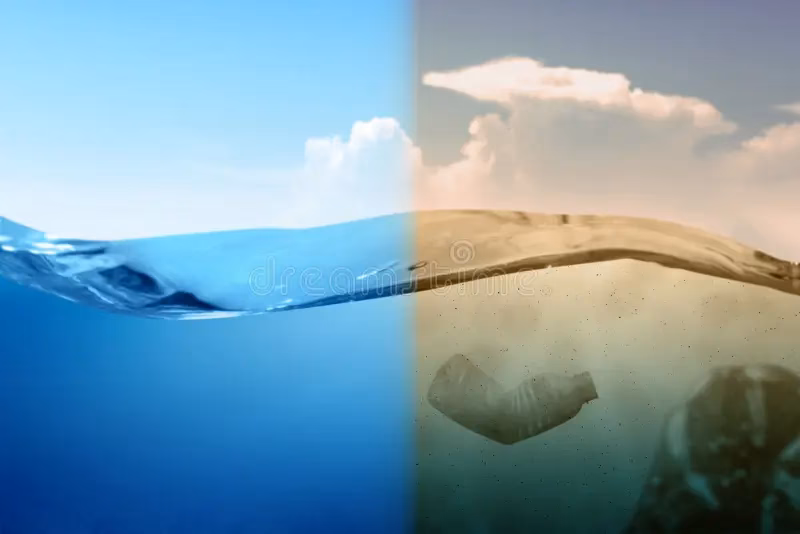 ¿Cómo afecta la contaminación a los mares?