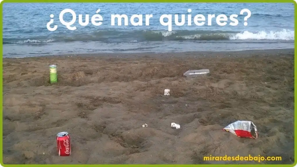 ¿Qué es la contaminación marina?