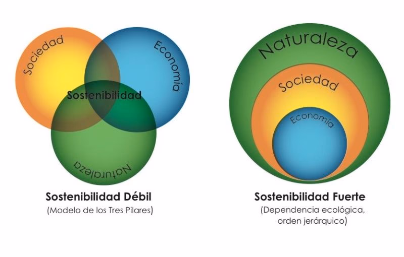 ¿Qué es la sustentabilidad fuerte?