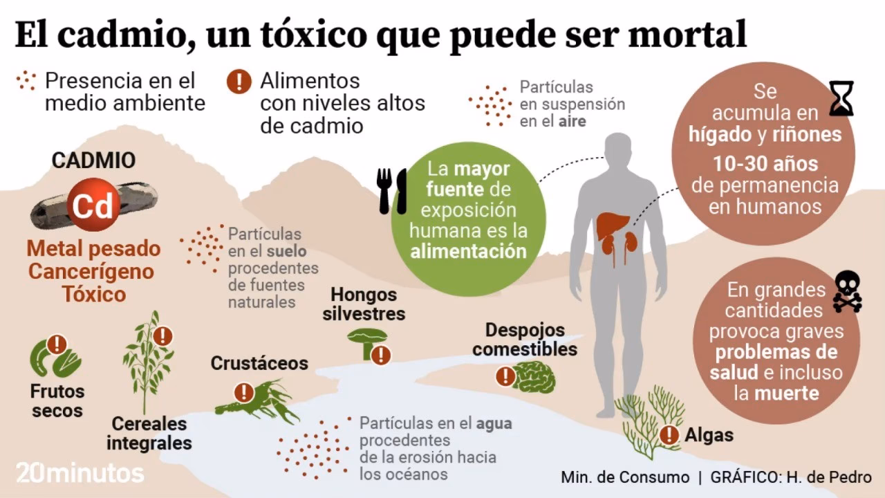 ¿Cuál es la peligrosidad de los metales pesados?