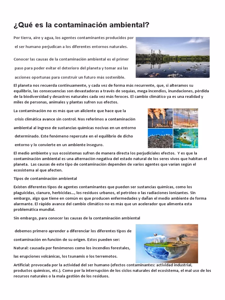 ¿Cuáles son las causas de la contaminación ambiental?