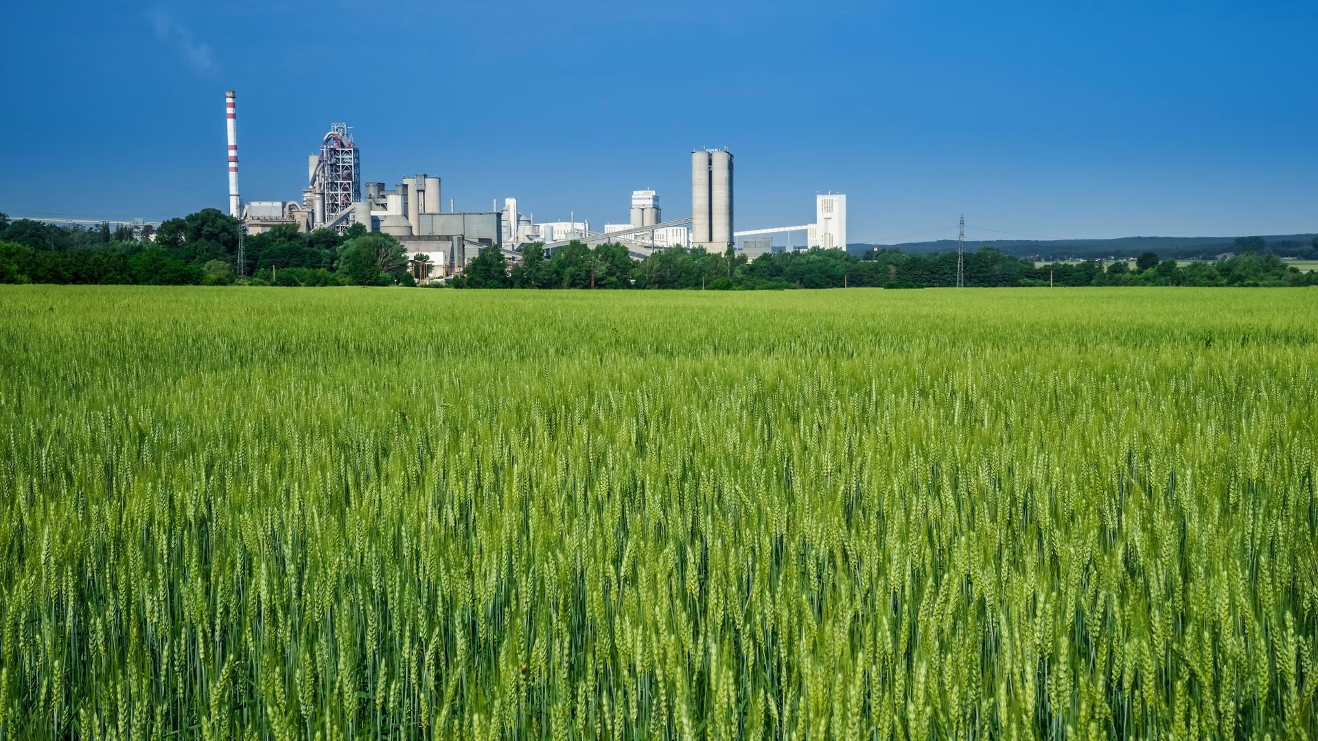 ¿Qué es Dima y para qué sirve?