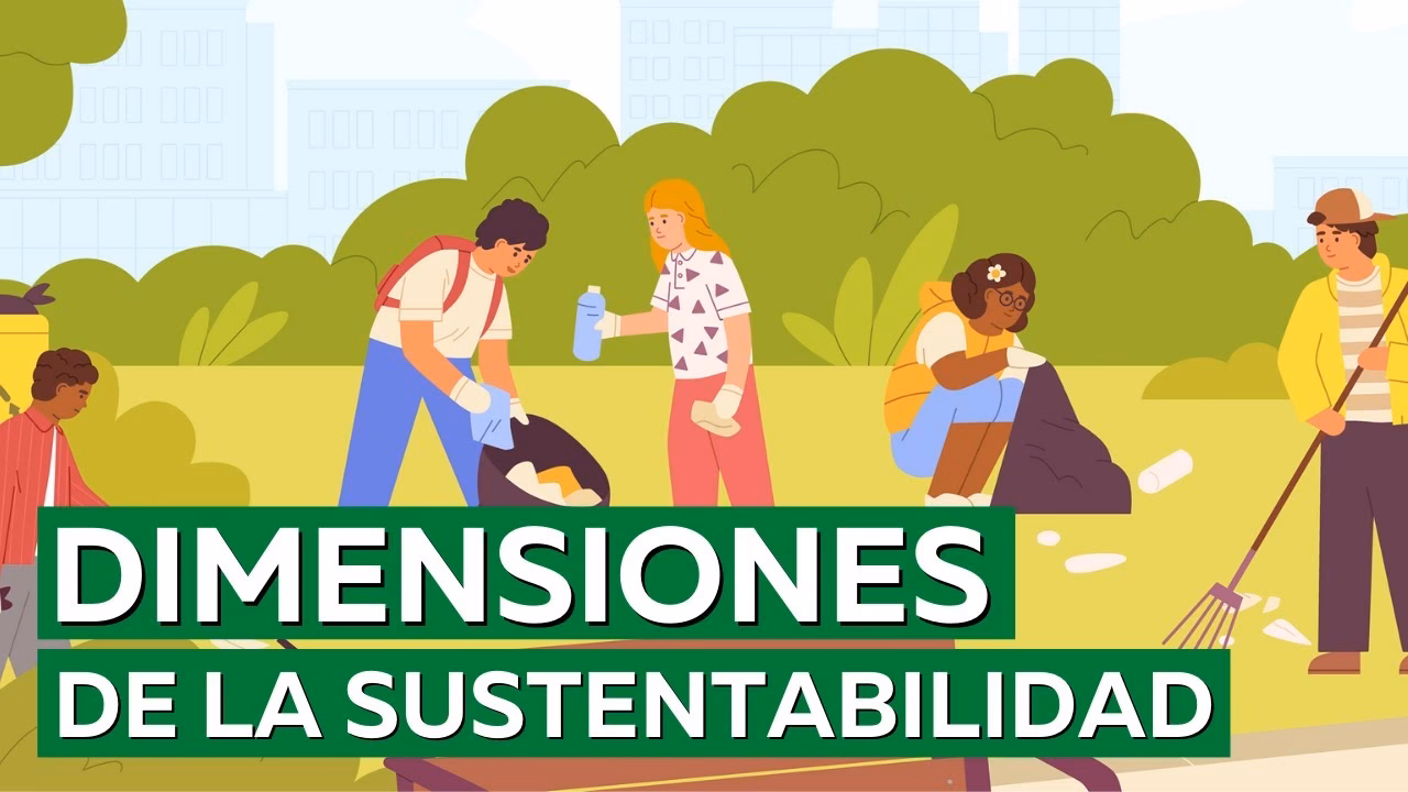 ¿Qué es la dimensión social del desarrollo sostenible?