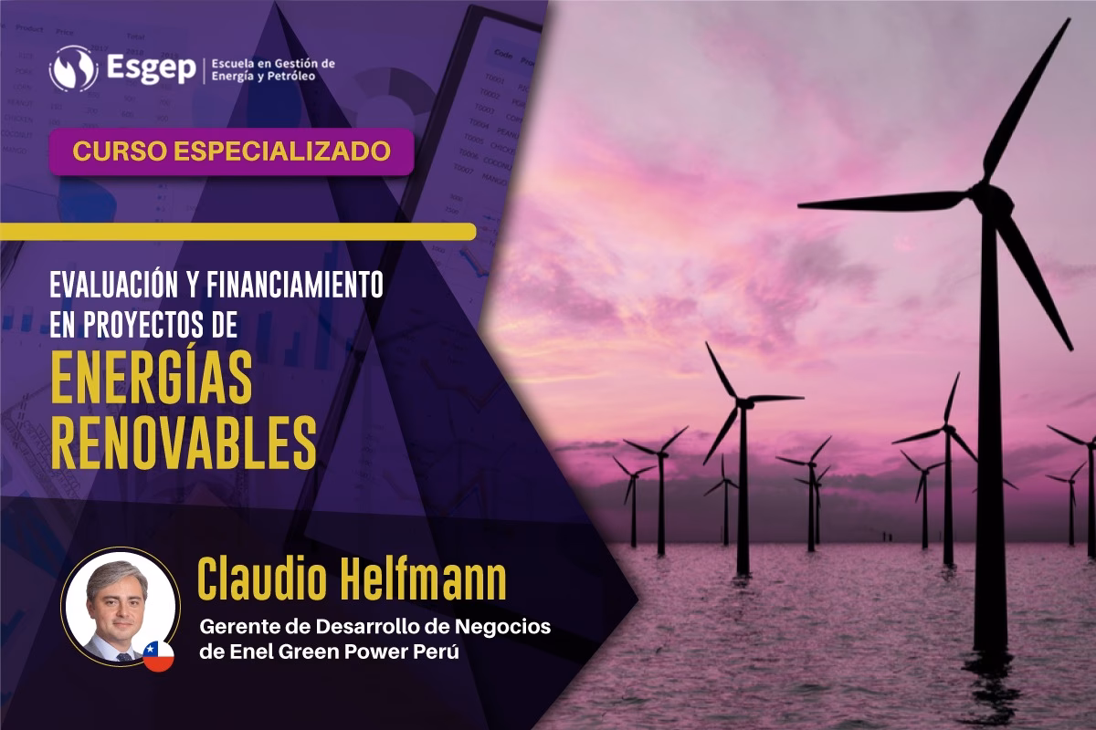 ¿Qué es el programa de energías renovables?