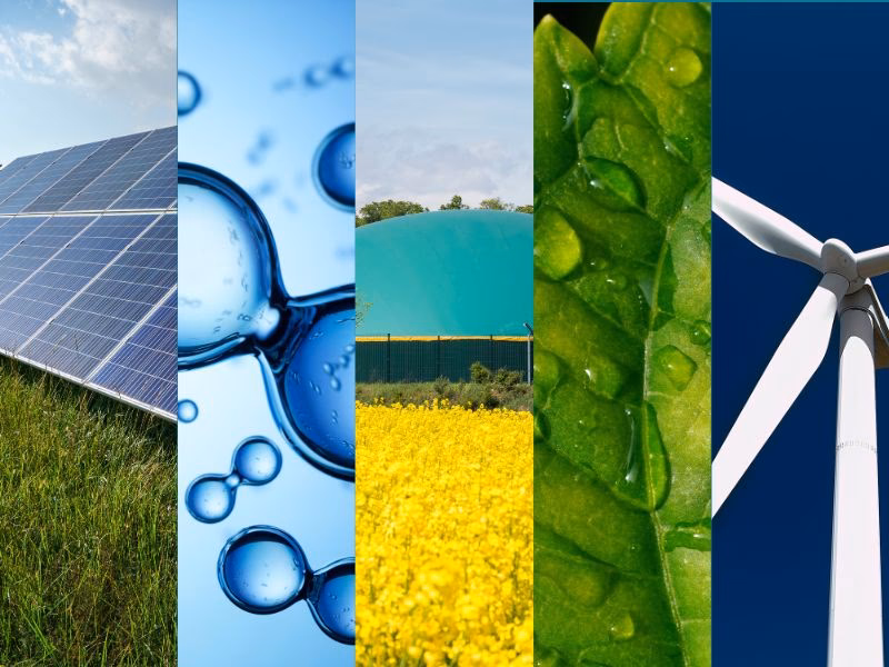 ¿Quién puede obtener el certificado académico de aprobación de la “diplomatura en energías renovables”?