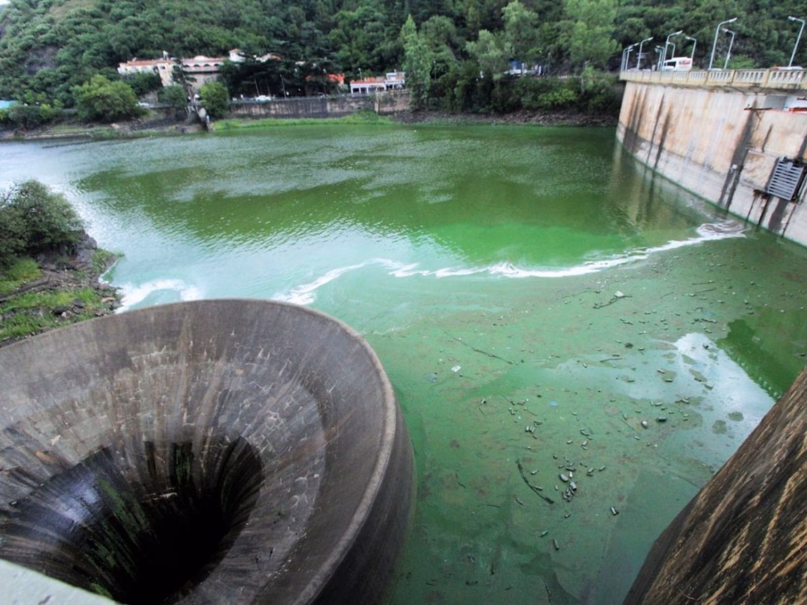 ¿Cuál fue el impacto ambiental en el dique de Coronel Moldes?