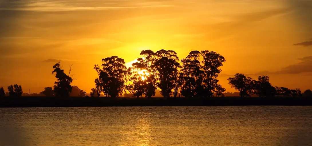 ¿Cuál es el número de la Dirección General de impacto ambiental?