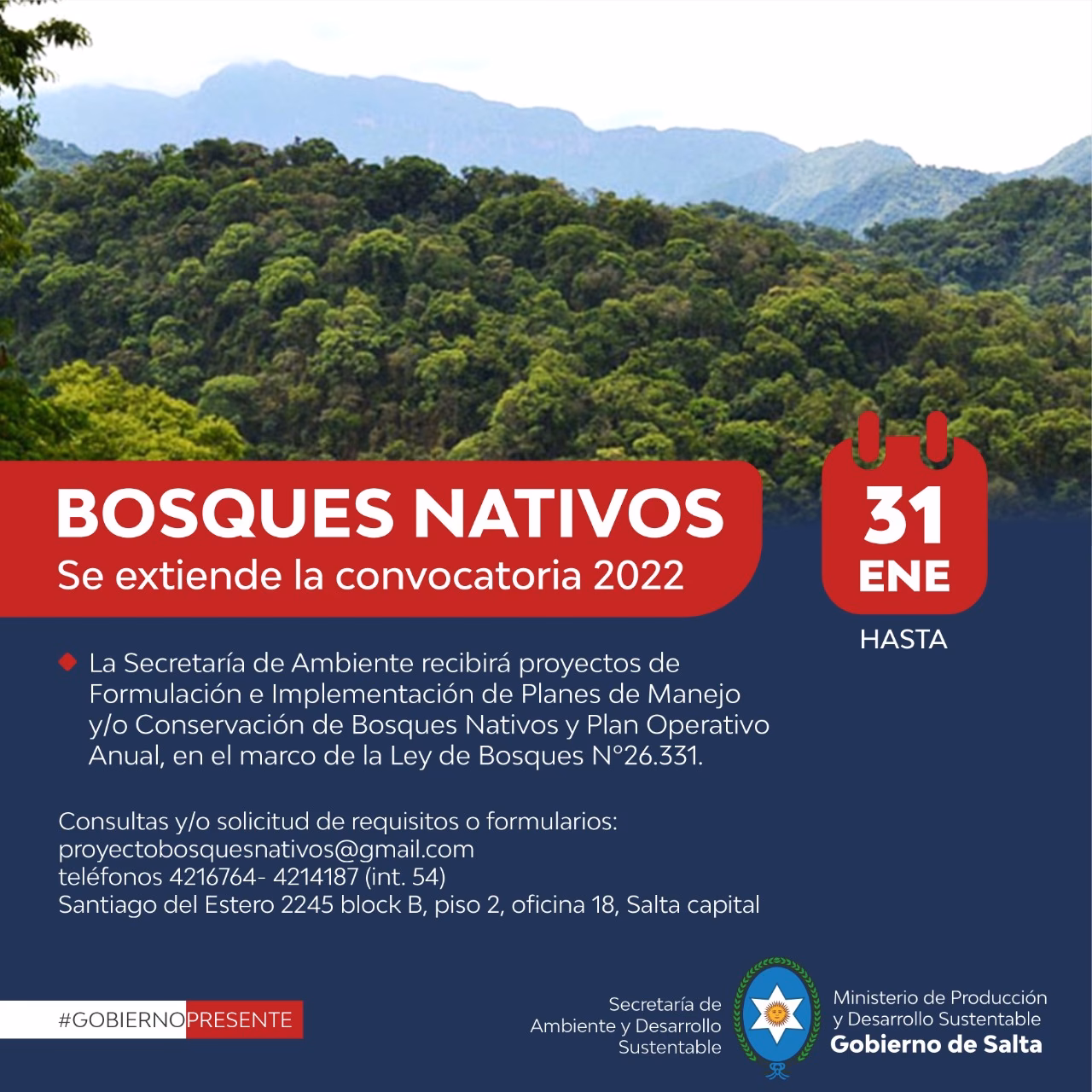 ¿Cuáles son las regiones de mayor superficie de bosque nativo del Norte Argentino?