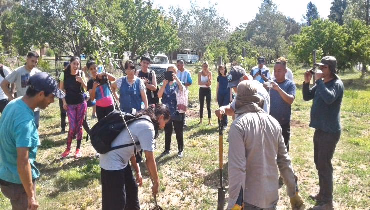 ¿Cuáles son las disposiciones del Ministerio del ambiente?