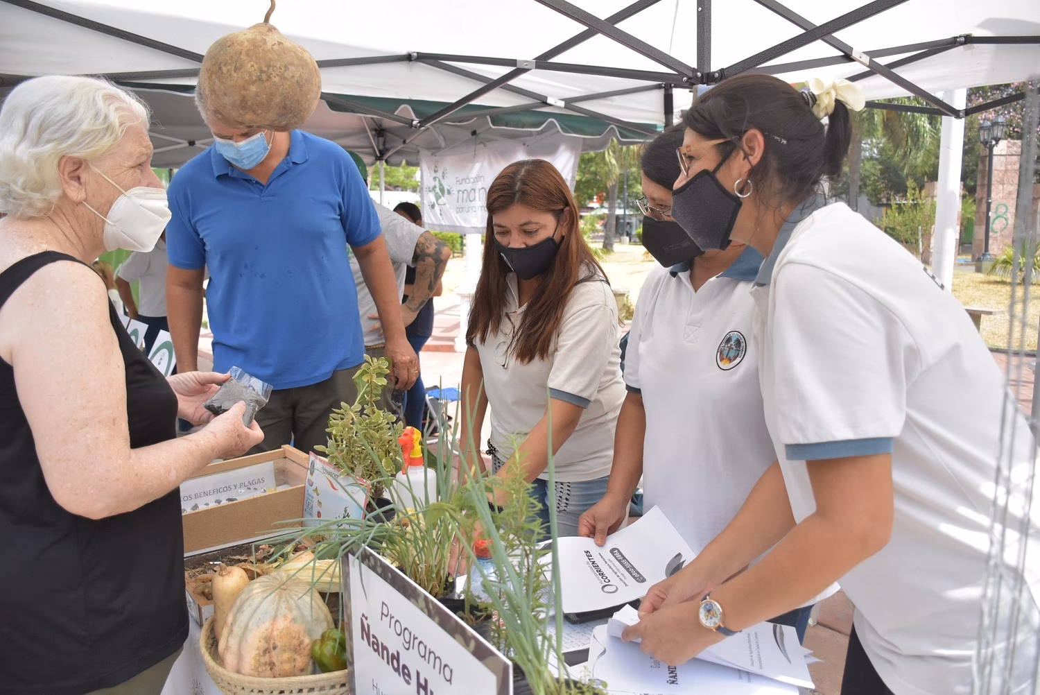 ¿Cuáles son las atribuciones de la dirección de Protección Ambiental?