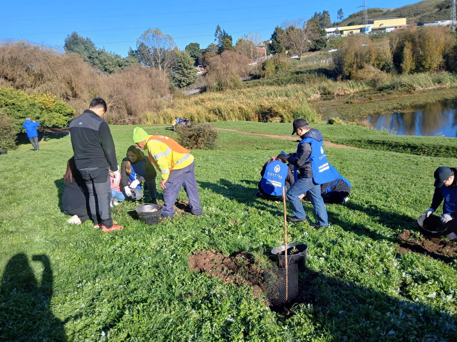 ¿Qué es la concepción del Medio Ambiente?