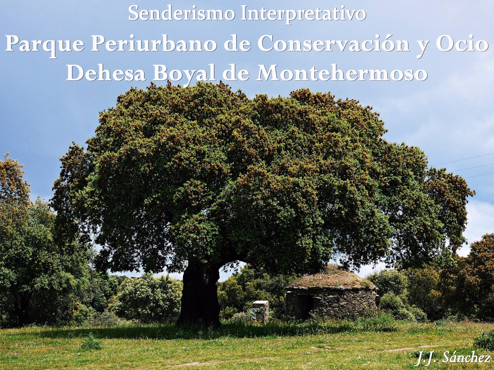 ¿Dónde se encuentra el centro de salud de Montehermoso?