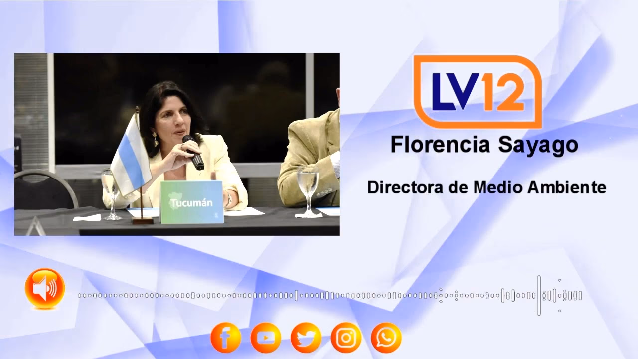 ¿Quién es la directora del departamento de Ciencias del ambiente?
