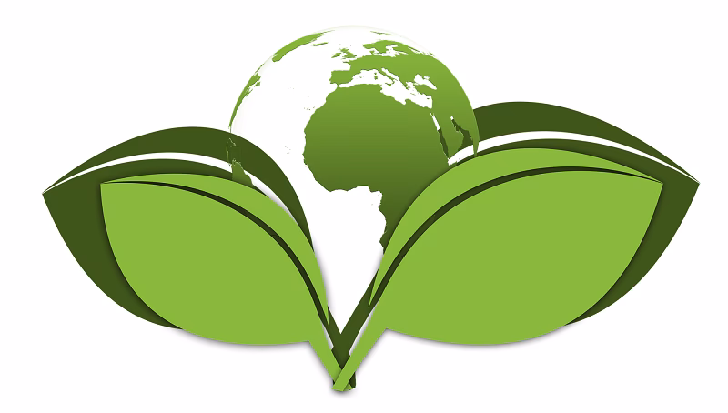 ¿Cuáles son las directrices de referencia para la calidad del aire ambiental?