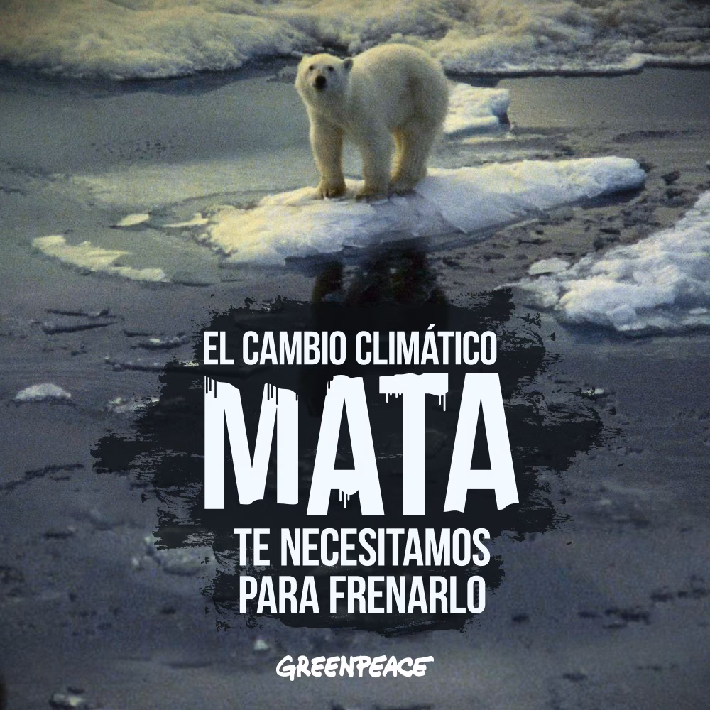 ¿Qué recuerda Greenpeace sobre el cambio climático?