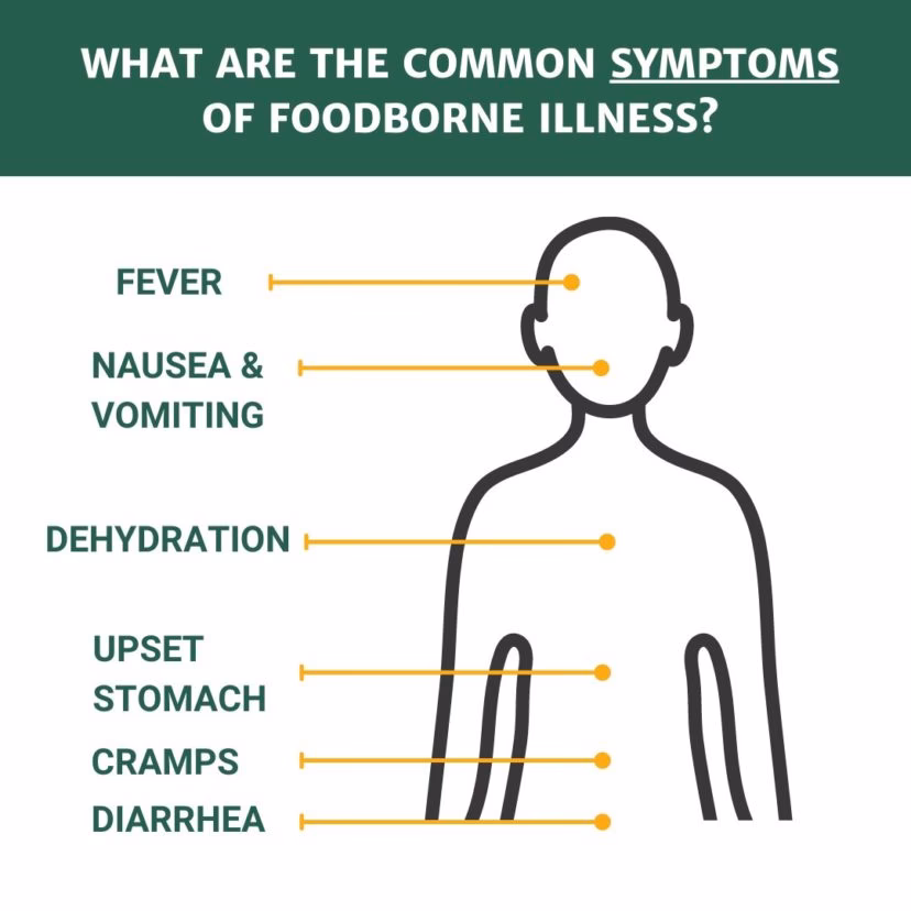 What are the different types of food contamination?