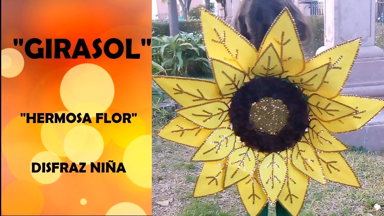 ¿Cómo se recupera el girasol?