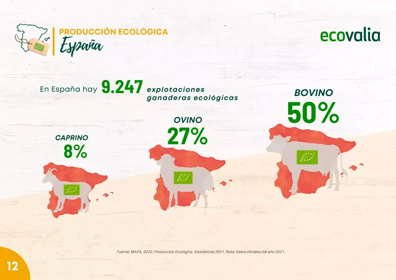 ¿Cuáles son los mejores distribuidores de productos ecológicos en España?