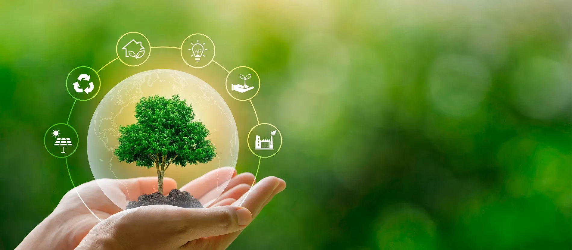 ¿Quiénes solicitan ser aceptados en el programa de doctorado en medio ambiente?