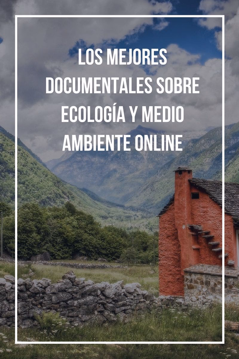 ¿Cuáles son las fuentes de inspiración para los documentalistas?