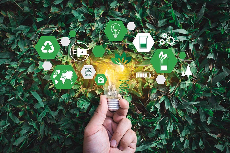 ¿Cuál es el propósito de los documentales sobre el medio ambiente en Netflix?