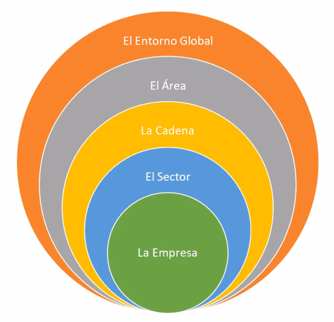¿Cuál es la relación entre la organización y el ambiente?