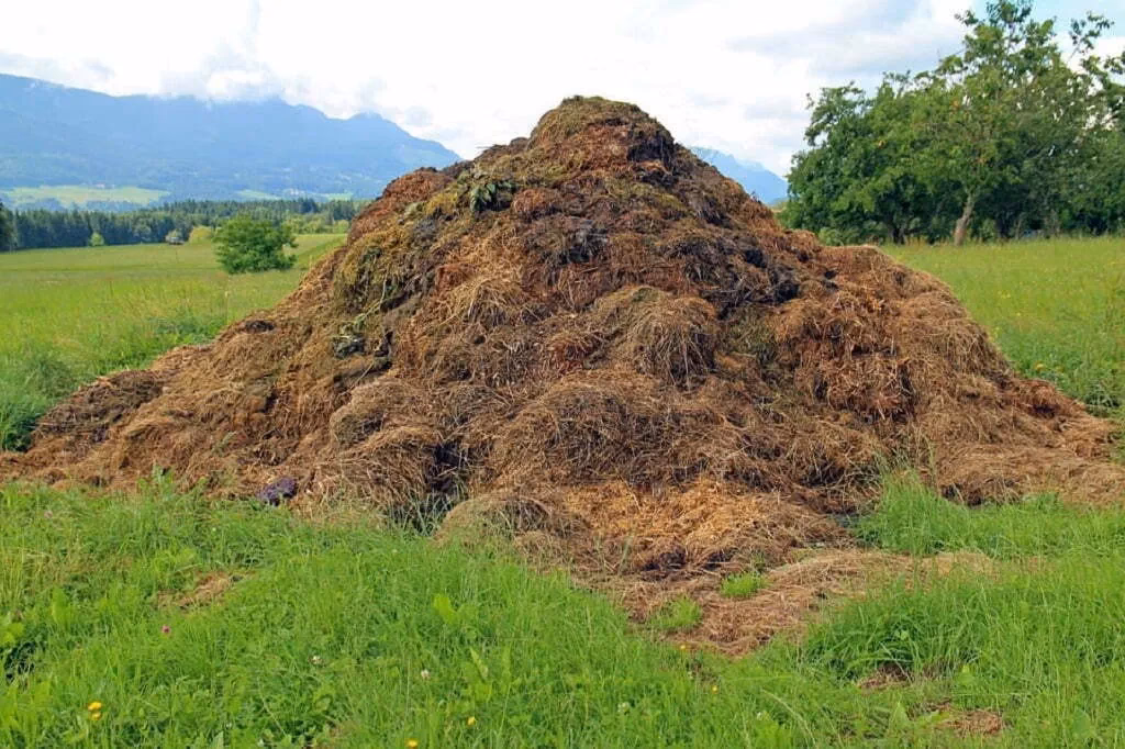 ¿Cuáles son los problemas del compostaje?