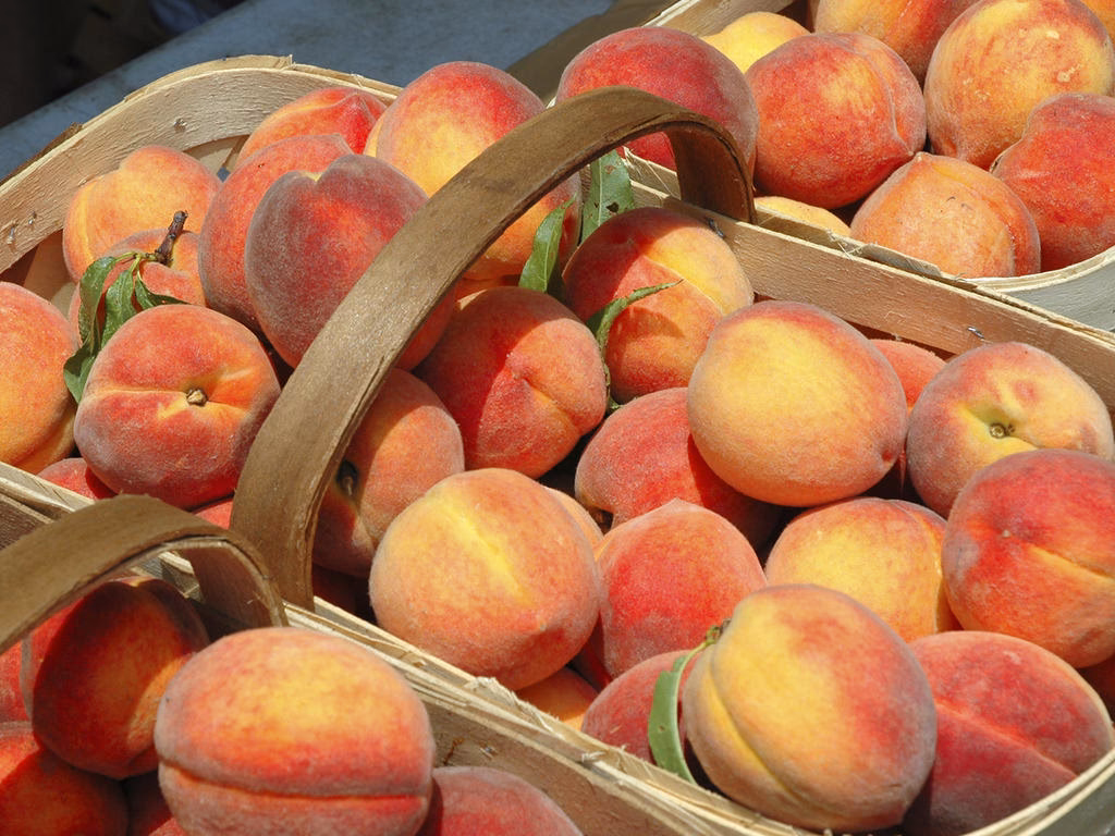 ¿Cuáles son las enfermedades del Durazno?