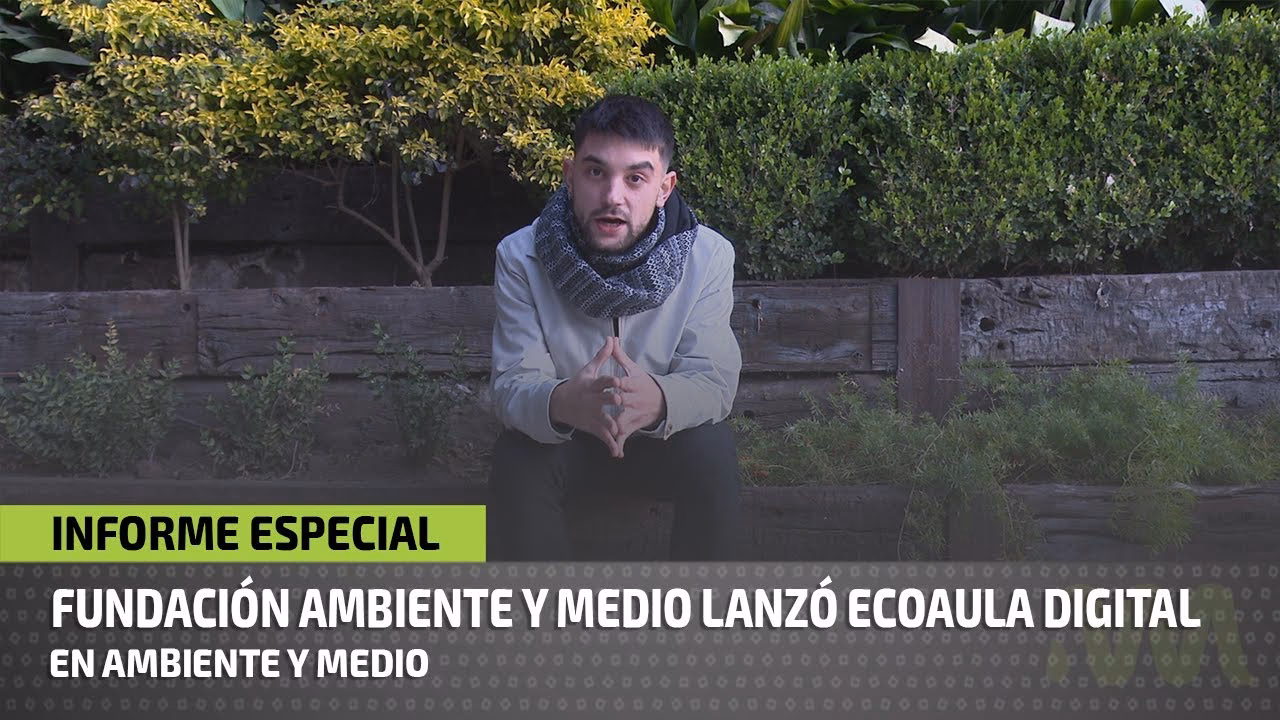 ¿Cuáles son las clases de Ecologテュa y medio ambiente?