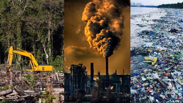 ¿Qué es el ecocidio?