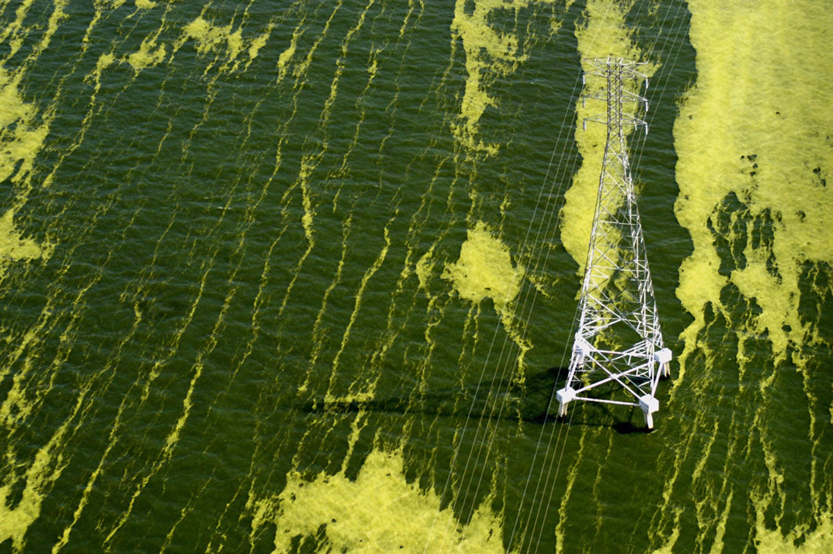 ¿Cuáles son los ejemplos de ecocidio en Guatemala?