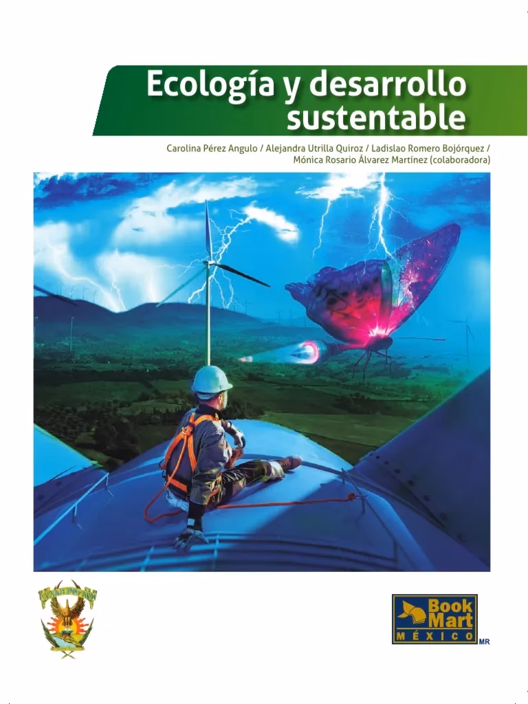 ¿Qué es el libro sobre Desarrollo Sostenible?