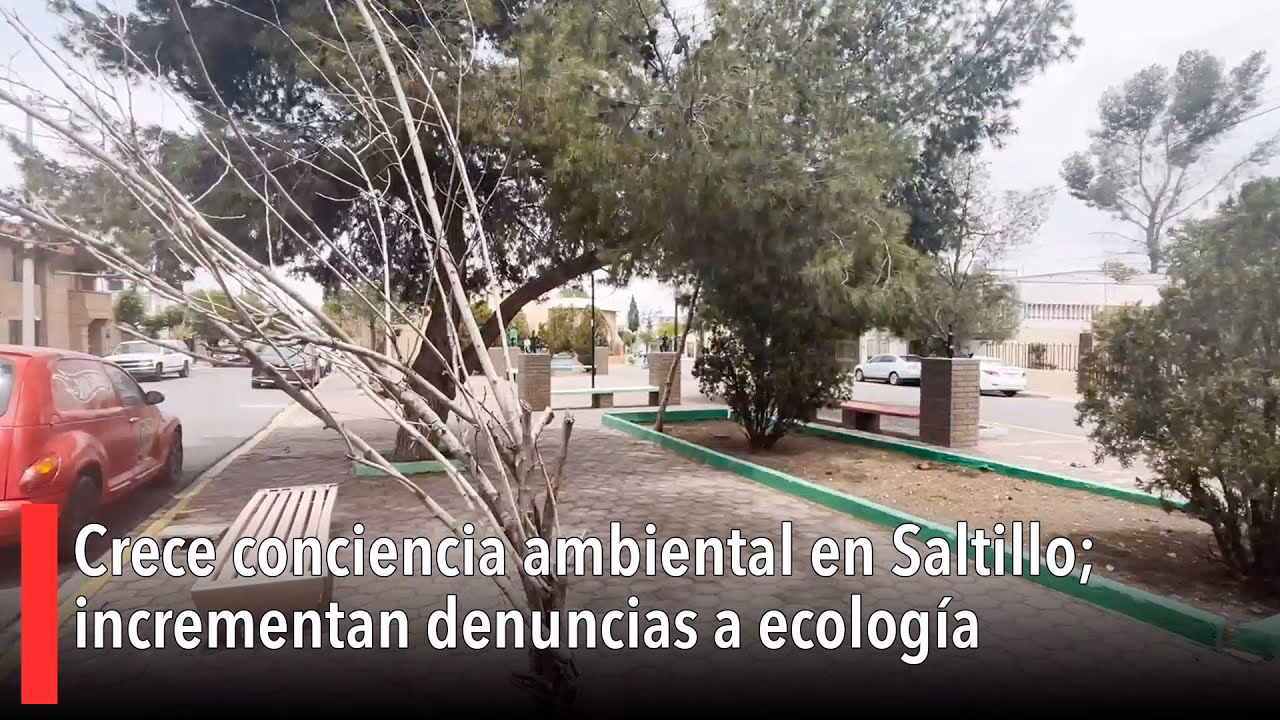 ¿Cuáles son las entidades que regulan el medio ambiente en Coahuila?
