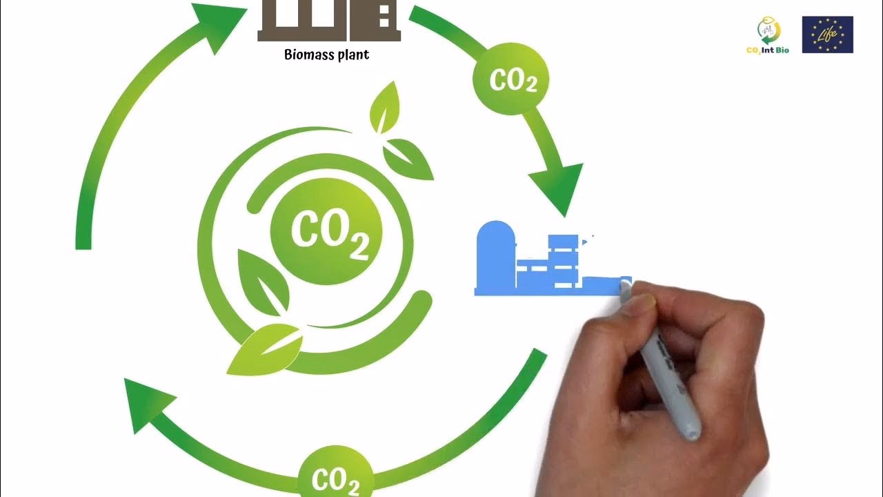 ¿Qué es la economía circular?