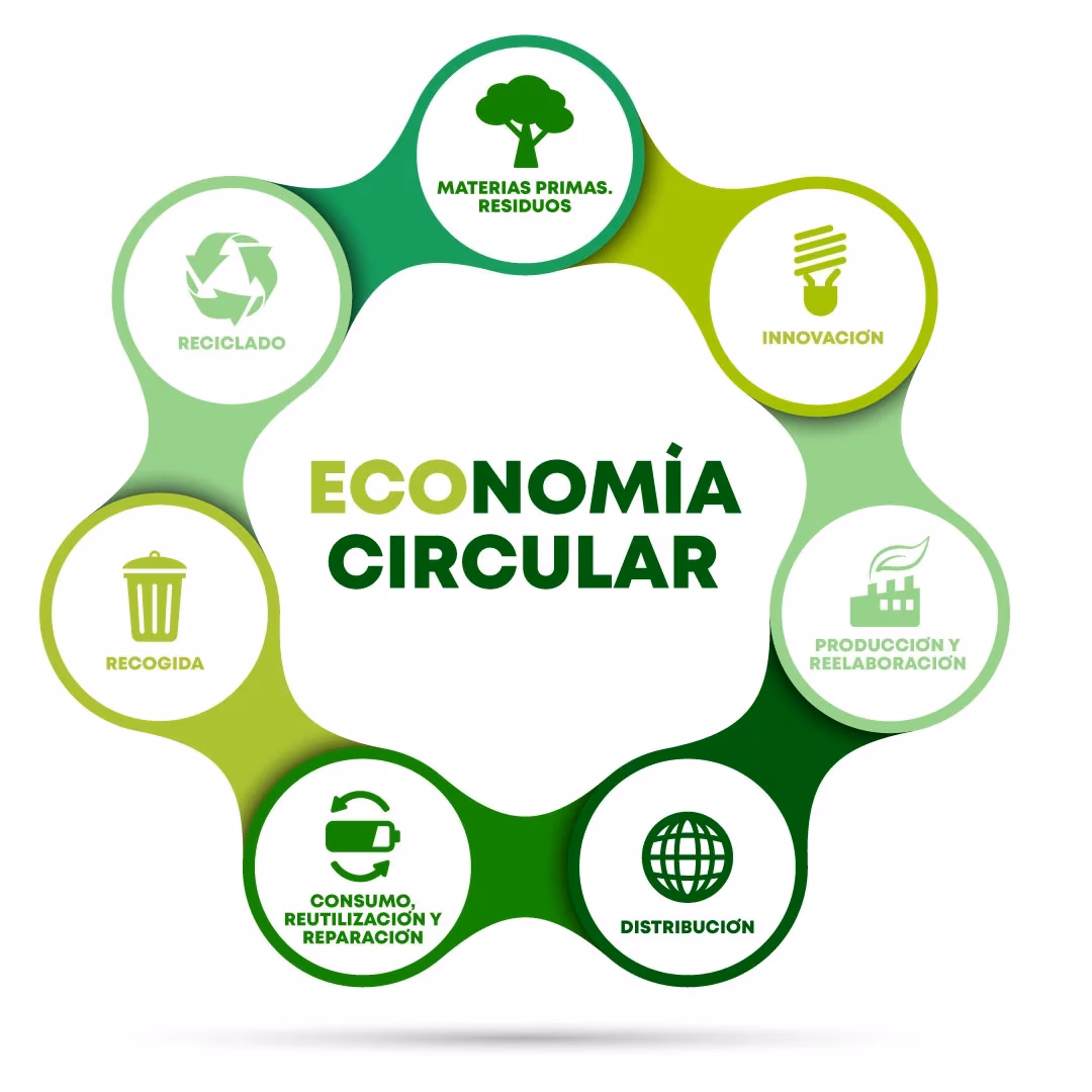 ¿Cuáles son los desafíos de la economía circular?
