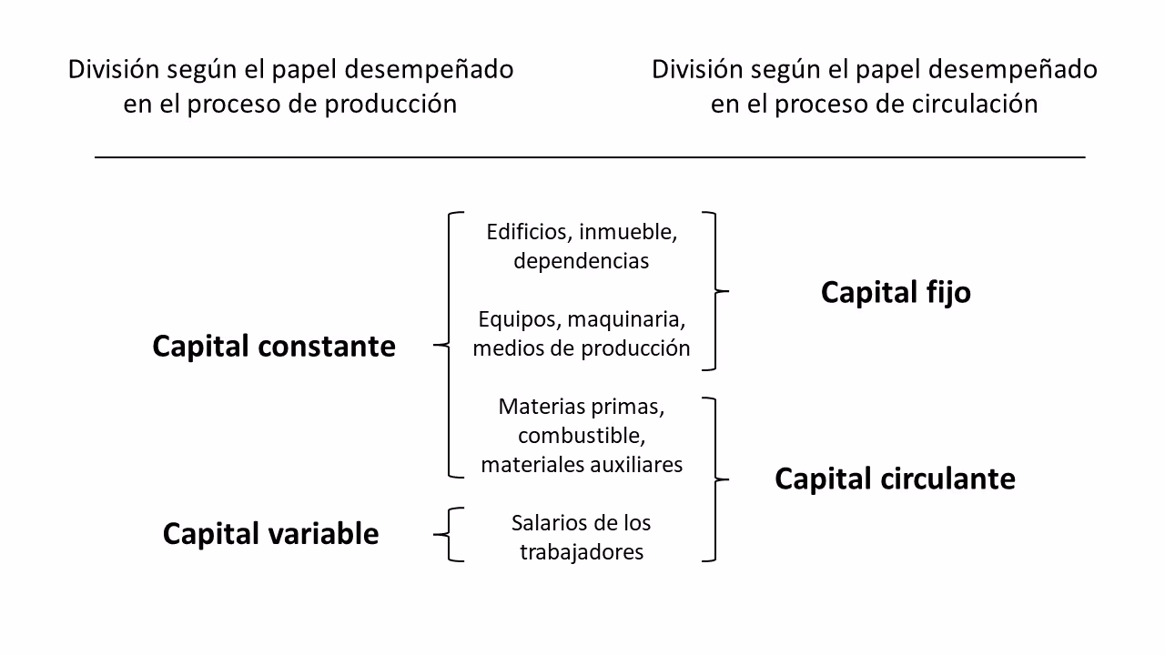 ¿Cuál es la relación entre la producción y la circulación capitalista?