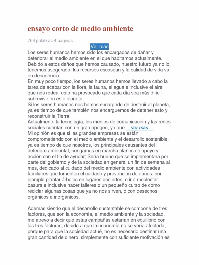 ¿Cuál es la relación entre el Medio Ambiente y el desarrollo sostenible?